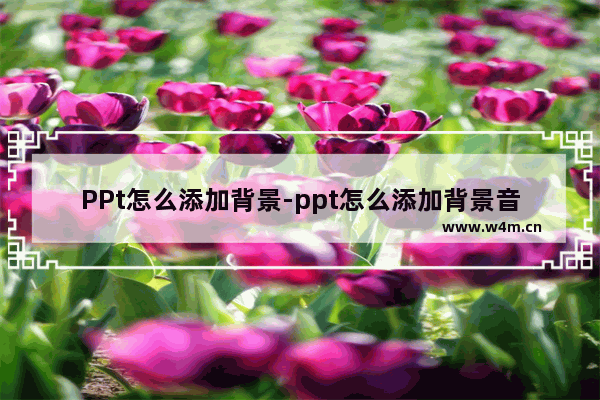 PPt怎么添加背景-ppt怎么添加背景音乐