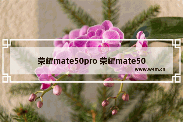 荣耀mate50pro 荣耀mate50pro多少钱