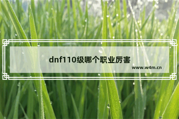 dnf110级哪个职业厉害