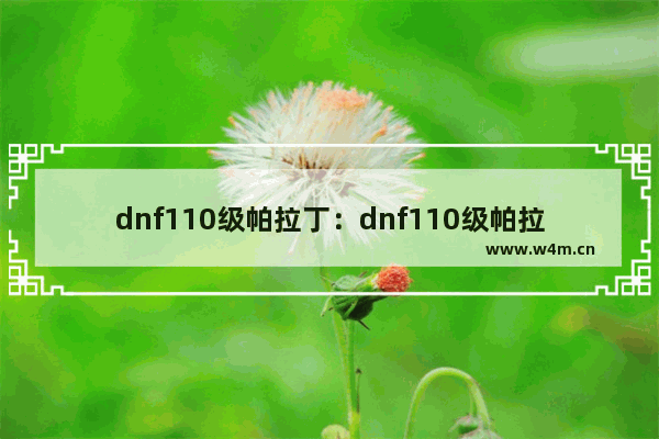 dnf110级帕拉丁：dnf110级帕拉丁护石选择