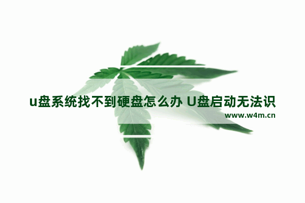 u盘系统找不到硬盘怎么办 U盘启动无法识别硬盘，怎么办？