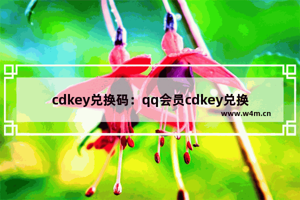 cdkey兑换码：qq会员cdkey兑换码