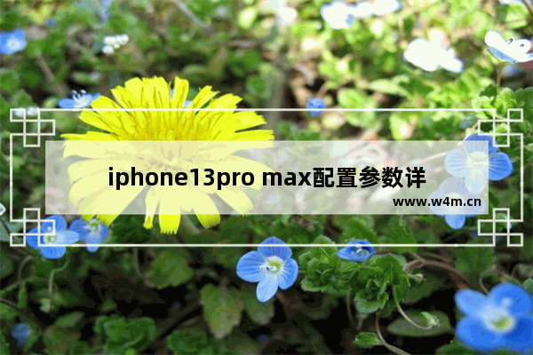 iphone13pro max配置参数详情