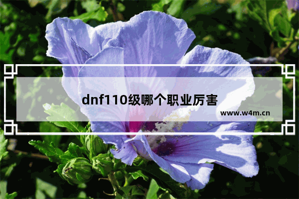 dnf110级哪个职业厉害