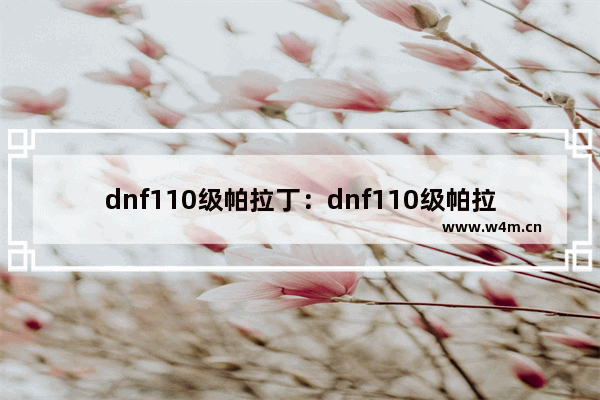 dnf110级帕拉丁：dnf110级帕拉丁护石选择