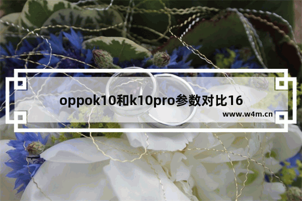 oppok10和k10pro参数对比168