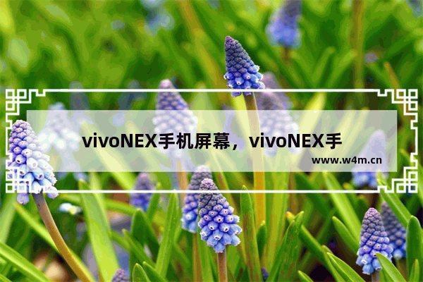 vivoNEX手机屏幕，vivoNEX手机屏幕多大