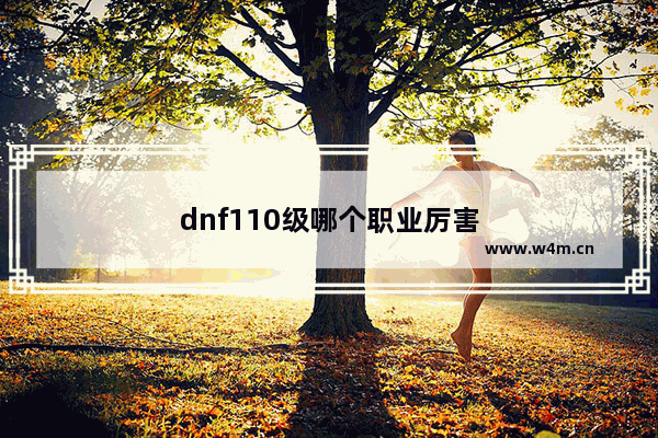 dnf110级哪个职业厉害