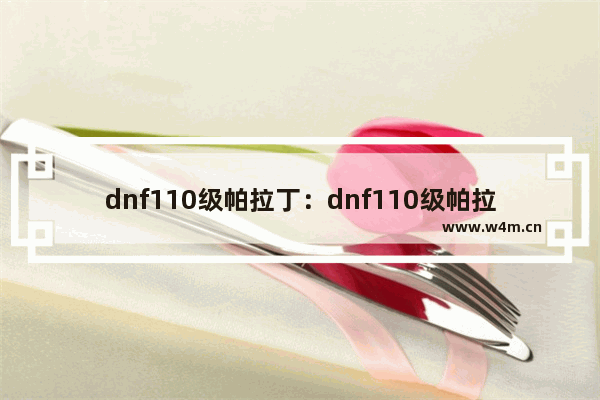 dnf110级帕拉丁：dnf110级帕拉丁护石选择