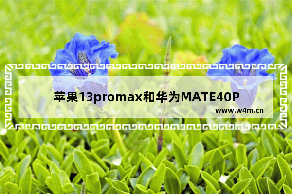 苹果13promax和华为MATE40PRO参数