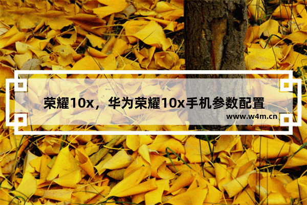 荣耀10x，华为荣耀10x手机参数配置