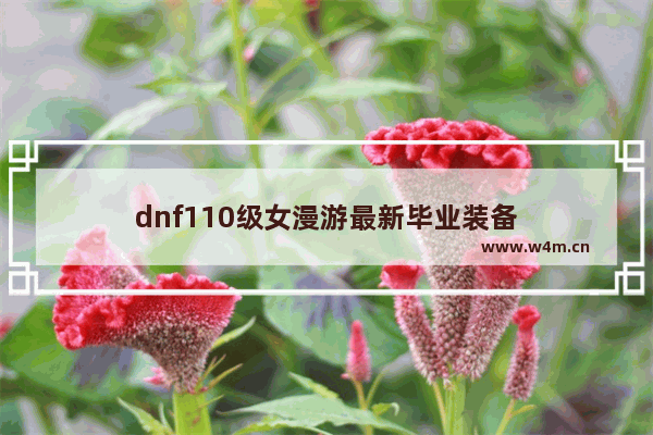 dnf110级女漫游最新毕业装备