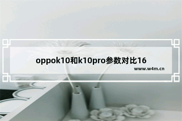 oppok10和k10pro参数对比168