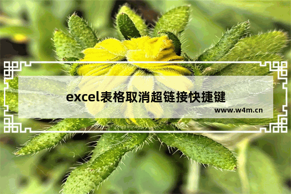 excel表格取消超链接快捷键