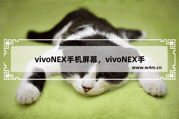 vivoNEX手机屏幕，vivoNEX手机屏幕多大