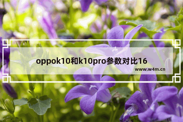 oppok10和k10pro参数对比168