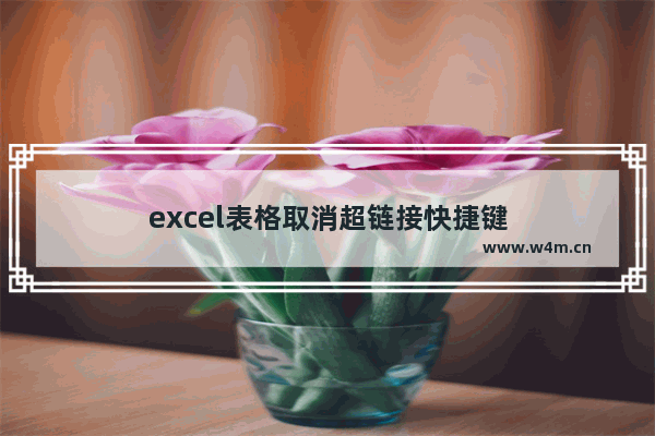 excel表格取消超链接快捷键