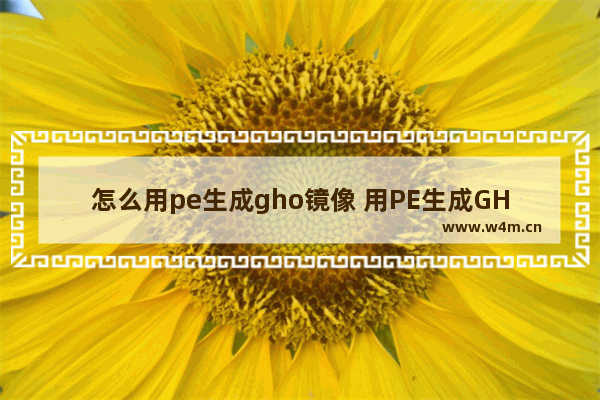 怎么用pe生成gho镜像 用PE生成GHO镜像新方法