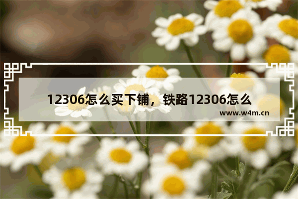 12306怎么买下铺，铁路12306怎么买下铺票