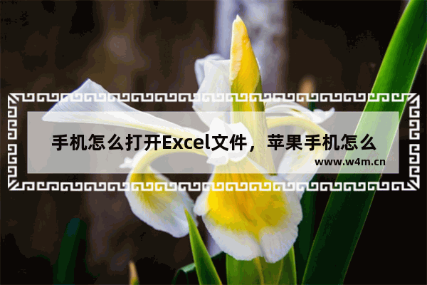 手机怎么打开Excel文件，苹果手机怎么打开excel文件