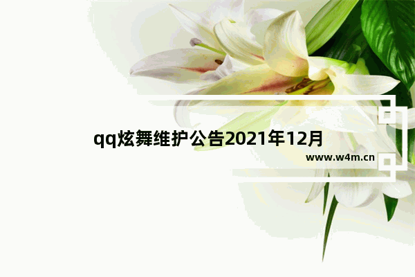 qq炫舞维护公告2021年12月