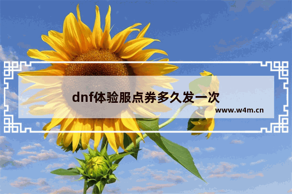 dnf体验服点券多久发一次