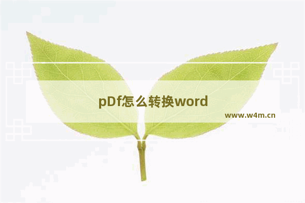 pDf怎么转换word