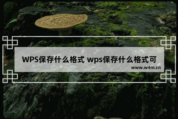 WPS保存什么格式 wps保存什么格式可以修改