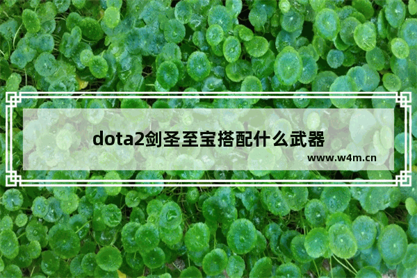 dota2剑圣至宝搭配什么武器