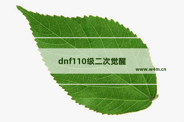 dnf110级二次觉醒