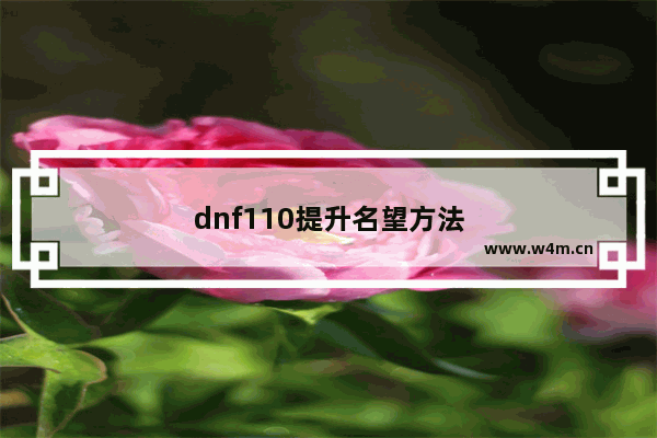 dnf110提升名望方法