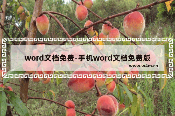 word文档免费-手机word文档免费版怎么下载