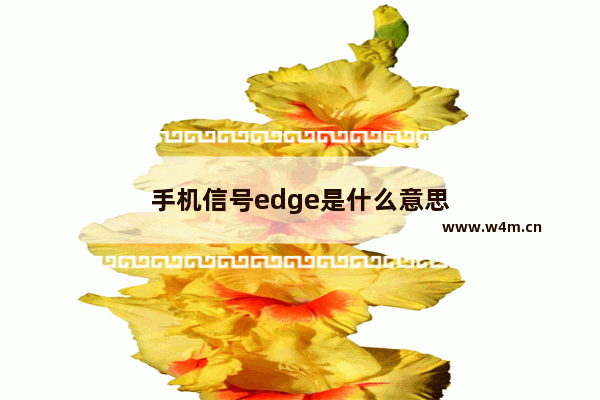 手机信号edge是什么意思