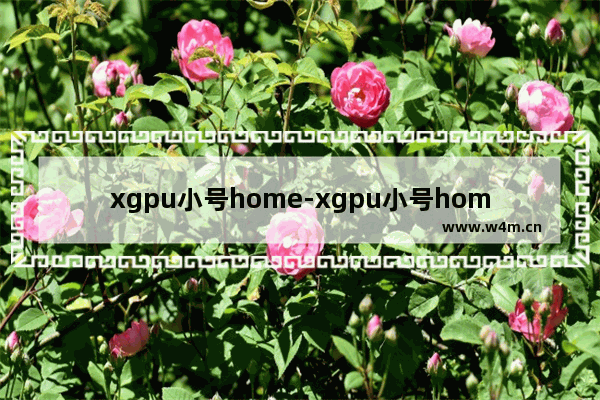 xgpu小号home-xgpu小号home大号能领会免吗