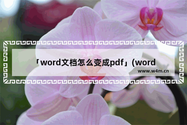 「word文档怎么变成pdf」(word文档怎么变成pdf microoffice)