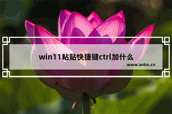 win11粘贴快捷键ctrl加什么