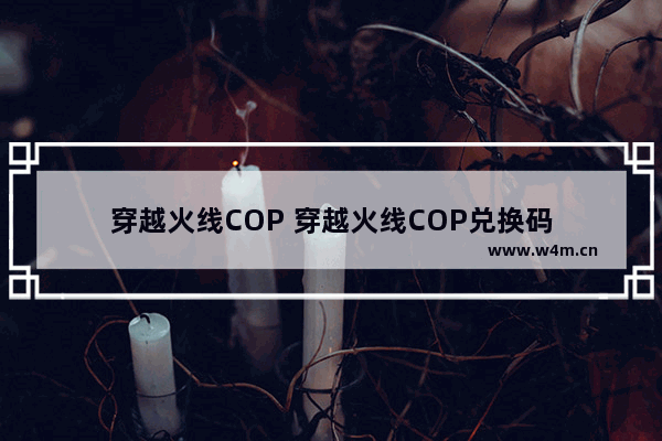 穿越火线COP 穿越火线COP兑换码