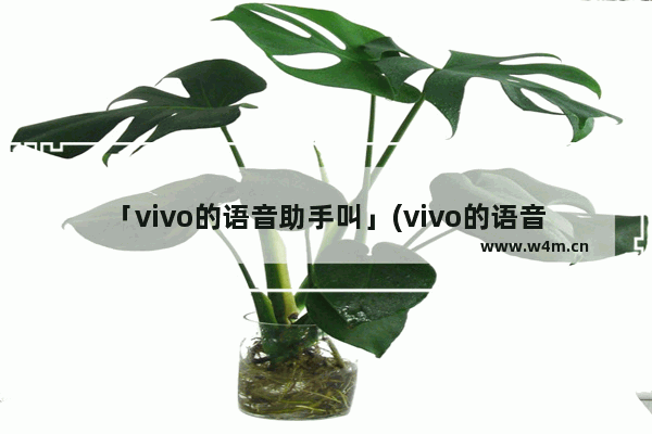 「vivo的语音助手叫」(vivo的语音助手叫什么名字怎么呼唤)