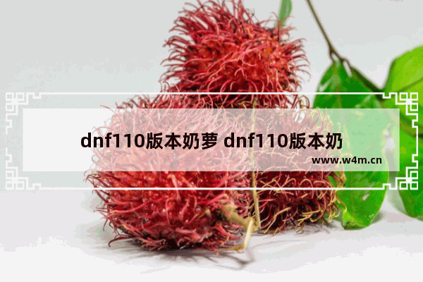 dnf110版本奶萝 dnf110版本奶萝奶量