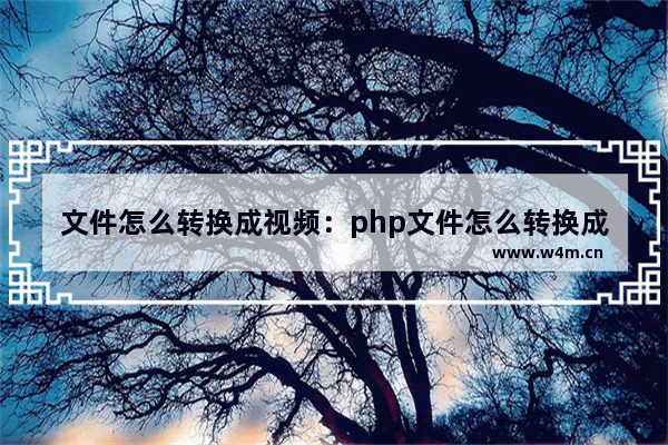 文件怎么转换成视频：php文件怎么转换成视频格式