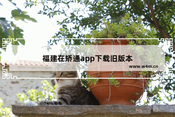 福建在矫通app下载旧版本