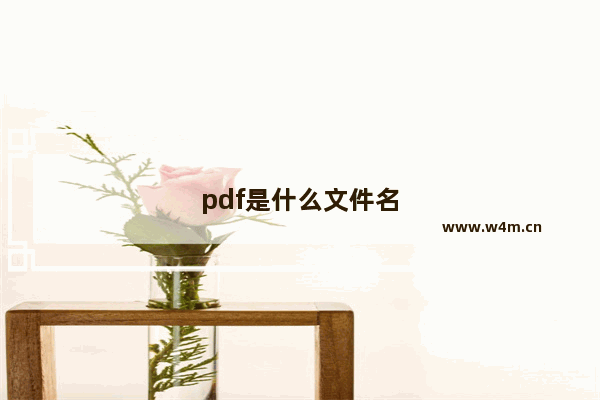 pdf是什么文件名