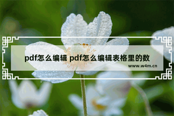 pdf怎么编辑 pdf怎么编辑表格里的数据