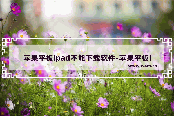 苹果平板ipad不能下载软件-苹果平板ipad不能下载软件flash