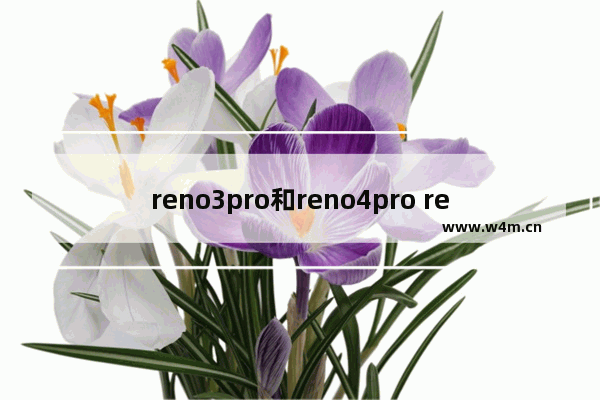 reno3pro和reno4pro reno3pro和reno4pro屏幕一样吗