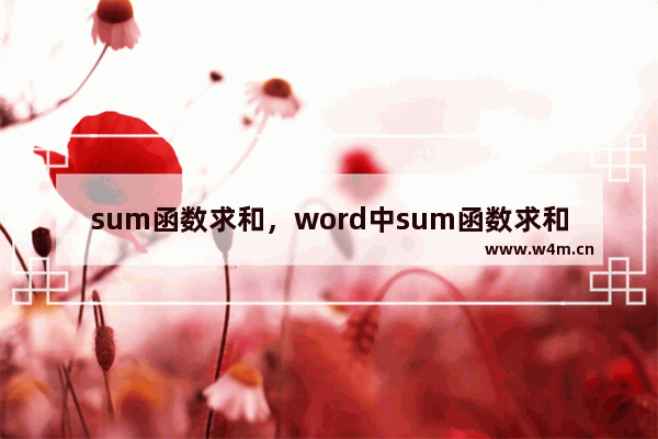 sum函数求和，word中sum函数求和