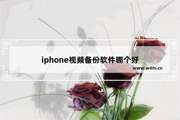 iphone视频备份软件哪个好