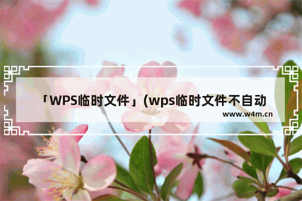 「WPS临时文件」(wps临时文件不自动删除)