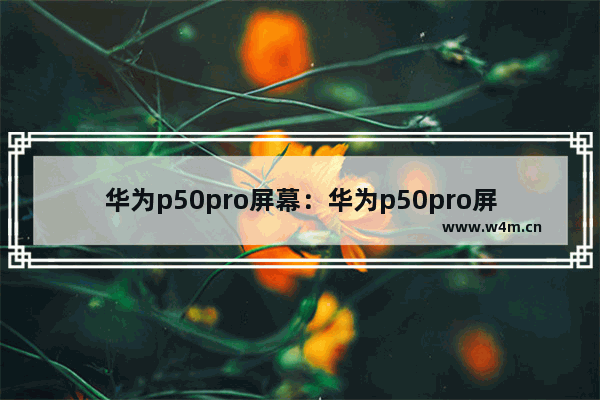 华为p50pro屏幕：华为p50pro屏幕碎了图片