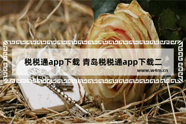 税税通app下载 青岛税税通app下载二维码